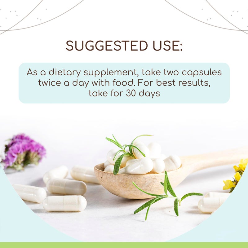 HerbEra Agaricus Blazei 60 Capsules, 500 mg, Agaricus blazei murill Dried Mushroom (60 Capsules) - Image 2